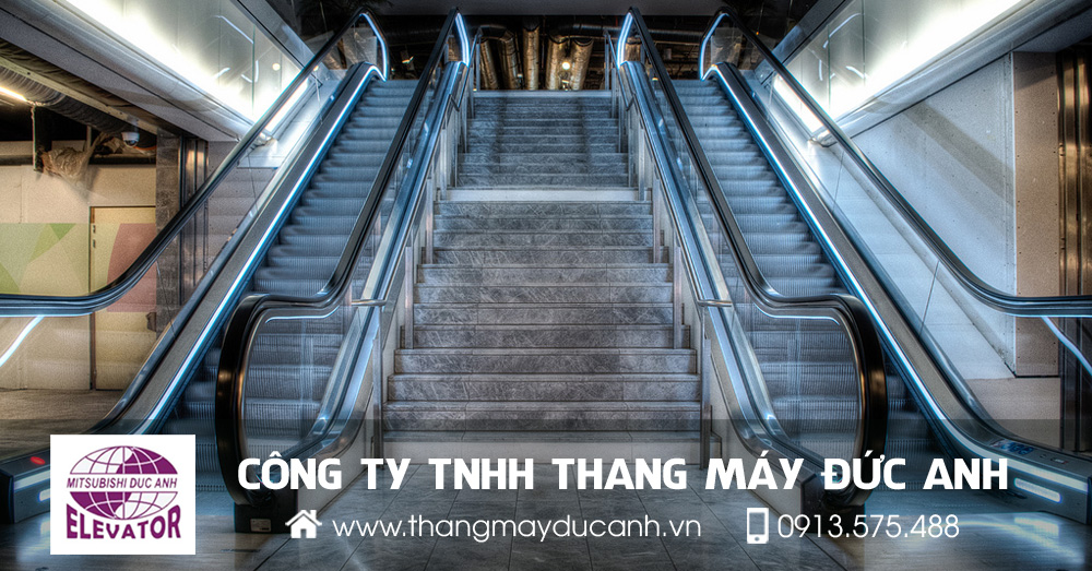 thang cuốn nhập khẩu giá tốt tại quảng ninh