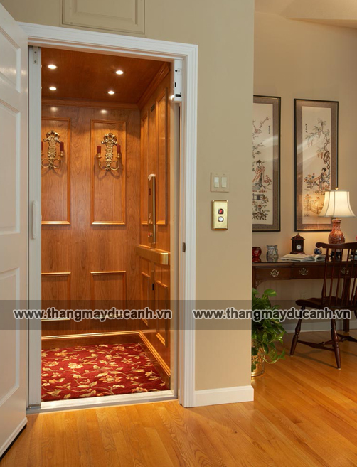thang máy gia đình đẹp