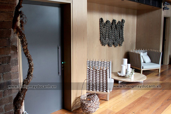 thang máy biệt thự đẹp