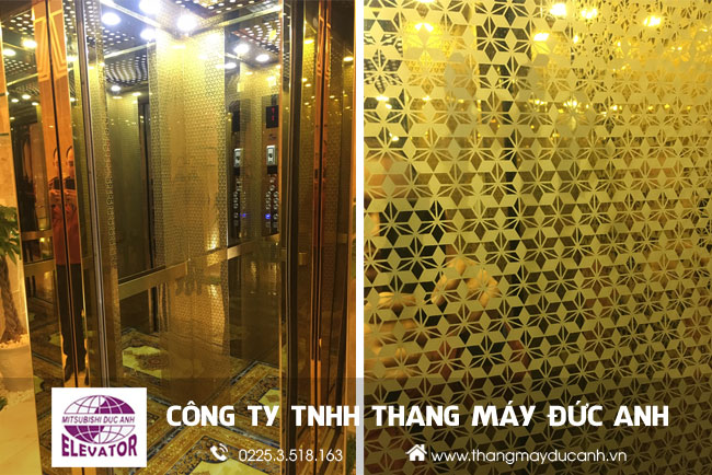 lắp đặt thang máy fuji 450kg tại hà nội